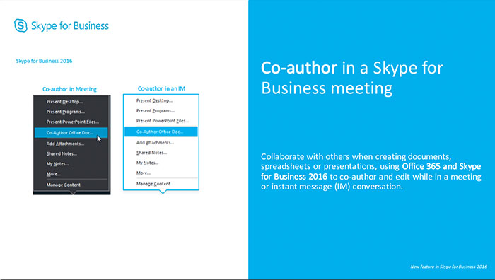 skype co author